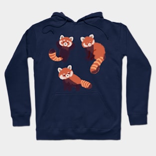 Three cute red pandas Hoodie